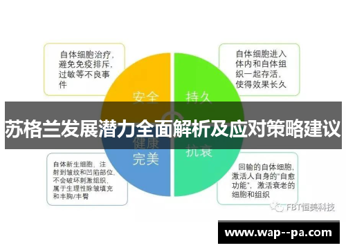 苏格兰发展潜力全面解析及应对策略建议