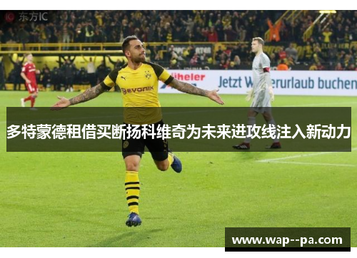 多特蒙德租借买断扬科维奇为未来进攻线注入新动力