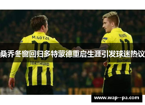 桑乔冬窗回归多特蒙德重启生涯引发球迷热议