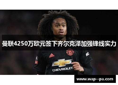 曼联4250万欧元签下齐尔克泽加强锋线实力