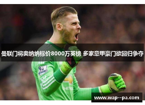 曼联门将奥纳纳标价8000万英镑 多家意甲豪门欲回归争夺